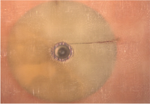 Picture Hole Wall to Circuit 2.png